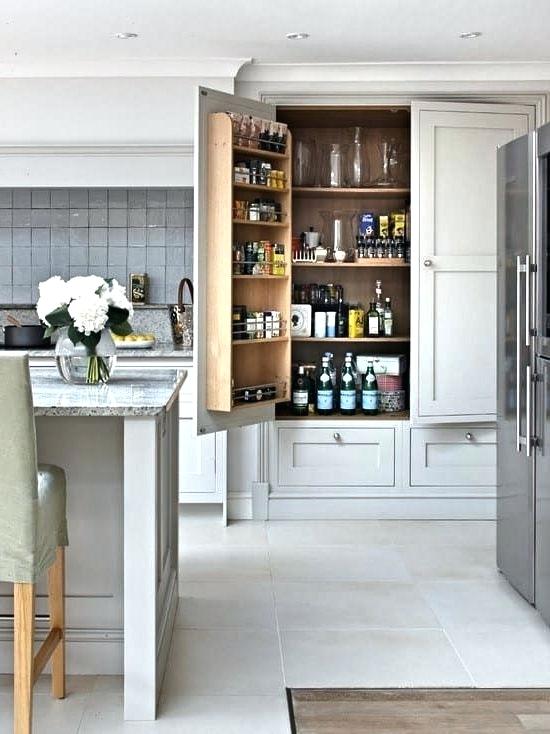 kitchen pantry ideas small kitchens amazing kitchen pantry ideas small kitchens kitchenaid blender