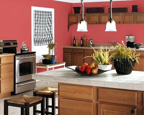 wall color for kitchen exciting red wall kitchen paint colors picture color ideas for kitchens with oak cabinets